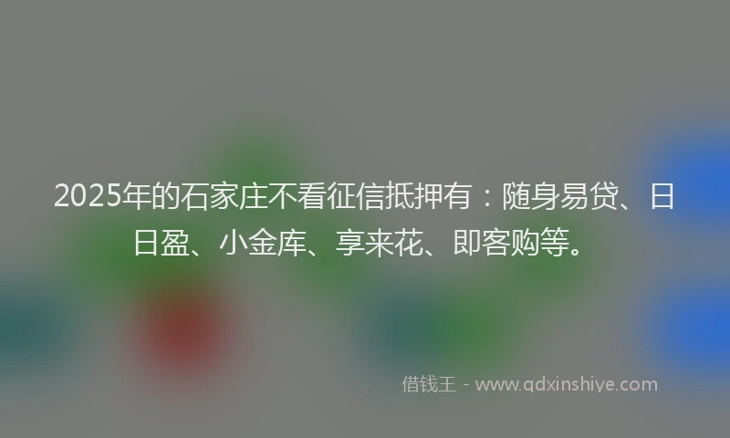 2025年的石家庄不看征信抵押有：随身易贷、日日盈、小金库、享来花、即客购等。
