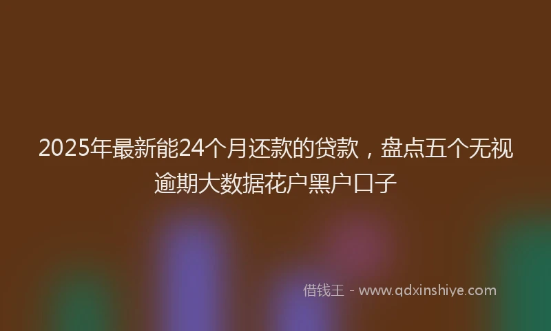 2025年最新能24个月还款的贷款，盘点五个无视逾期大数据花户黑户口子