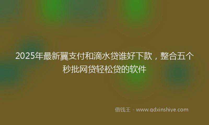 2025年最新翼支付和滴水贷谁好下款，整合五个秒批网贷轻松贷的软件