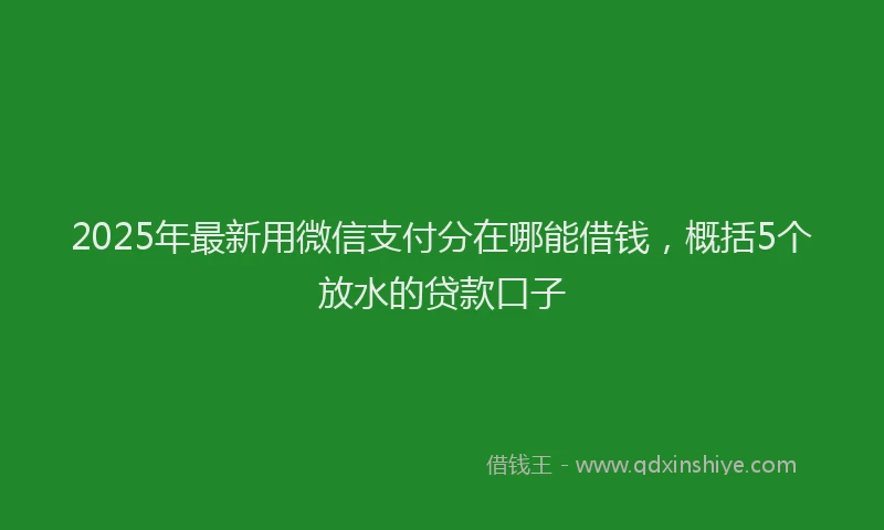 2025年最新用微信支付分在哪能借钱，概括5个放水的贷款口子