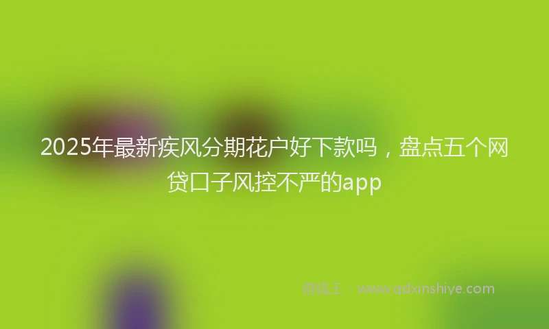 2025年最新疾风分期花户好下款吗，盘点五个网贷口子风控不严的app