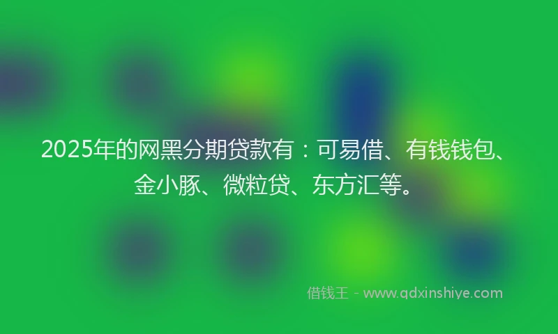 2025年的网黑分期贷款有：可易借、有钱钱包、金小豚、微粒贷、东方汇等。