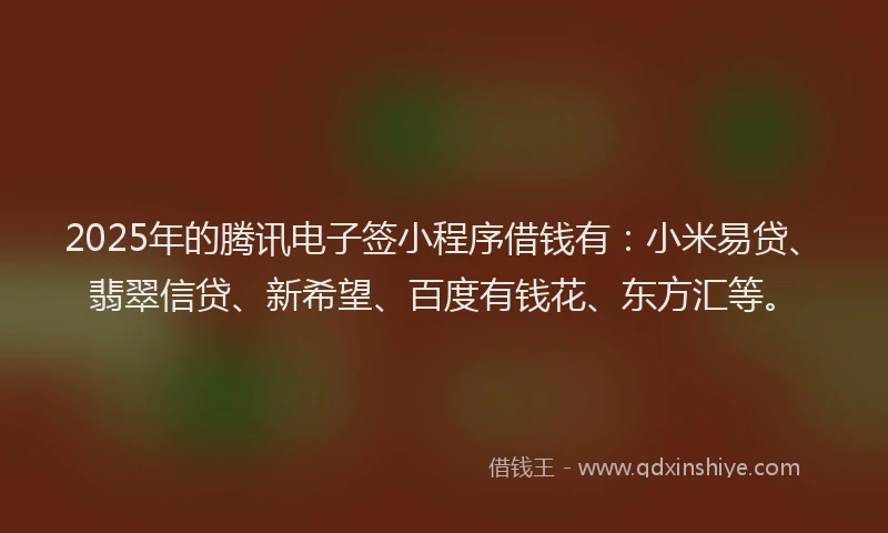 2025年的腾讯电子签小程序借钱有：小米易贷、翡翠信贷、新希望、百度有钱花、东方汇等。