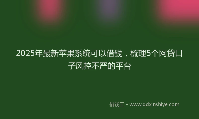 2025年最新苹果系统可以借钱，梳理5个网贷口子风控不严的平台