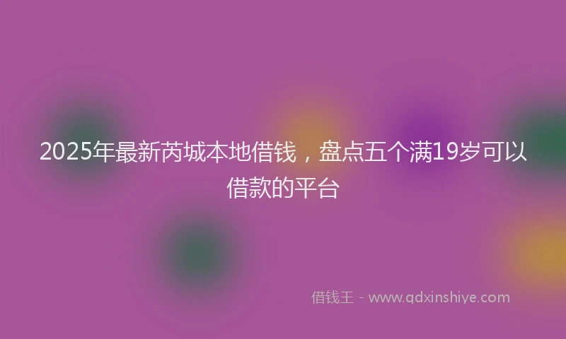 2025年最新芮城本地借钱，盘点五个满19岁可以借款的平台