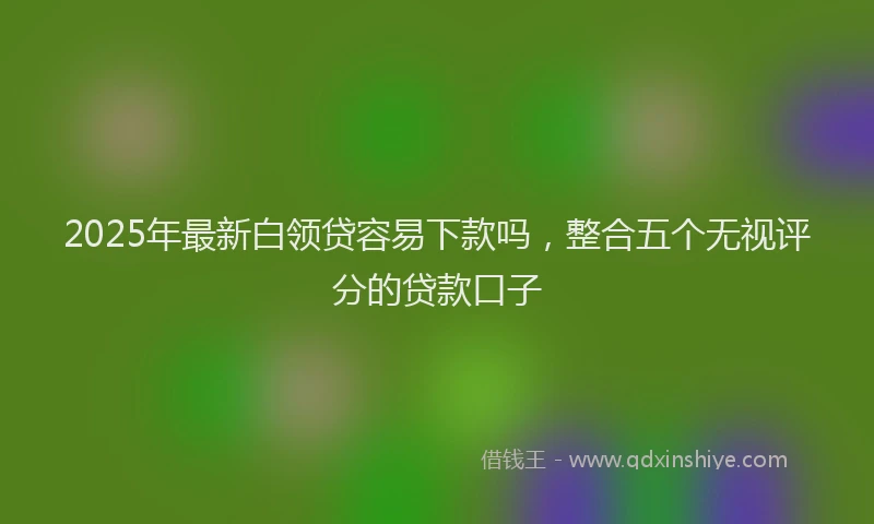 2025年最新白领贷容易下款吗，整合五个无视评分的贷款口子