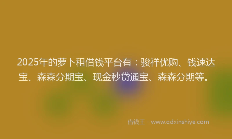 2025年的萝卜租借钱平台有：骏祥优购、钱速达宝、森森分期宝、现金秒贷通宝、森森分期等。