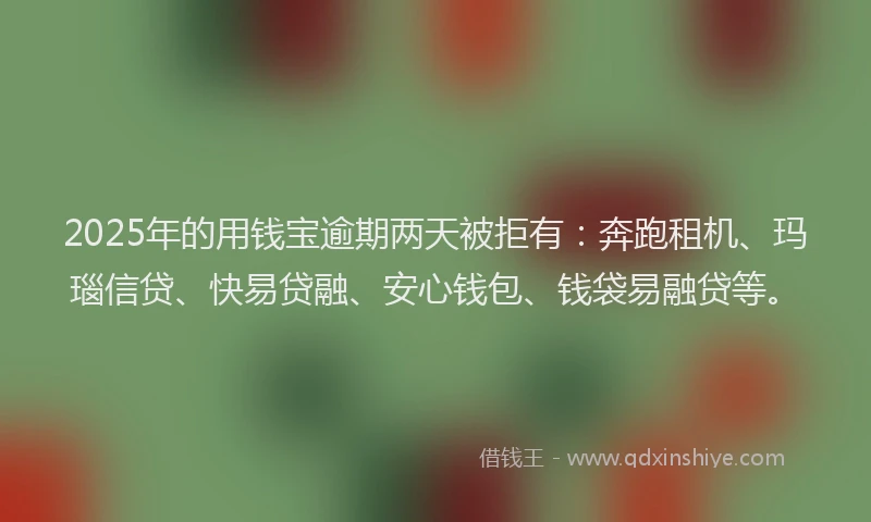2025年的用钱宝逾期两天被拒有：奔跑租机、玛瑙信贷、快易贷融、安心钱包、钱袋易融贷等。