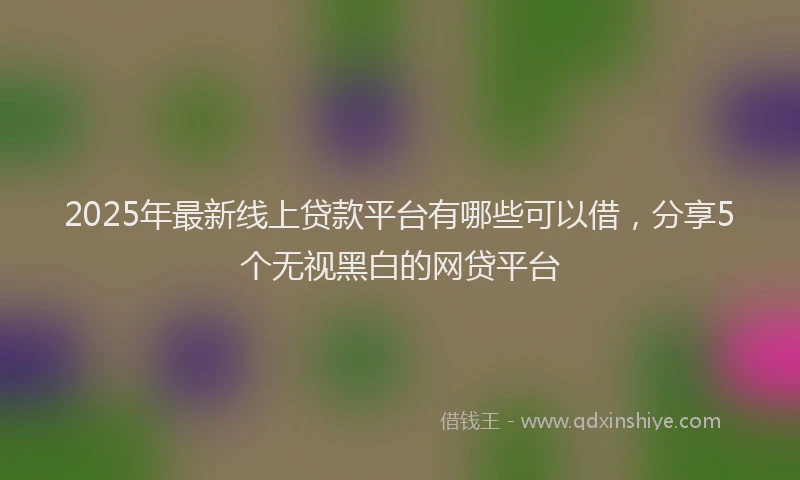 2025年最新线上贷款平台有哪些可以借，分享5个无视黑白的网贷平台