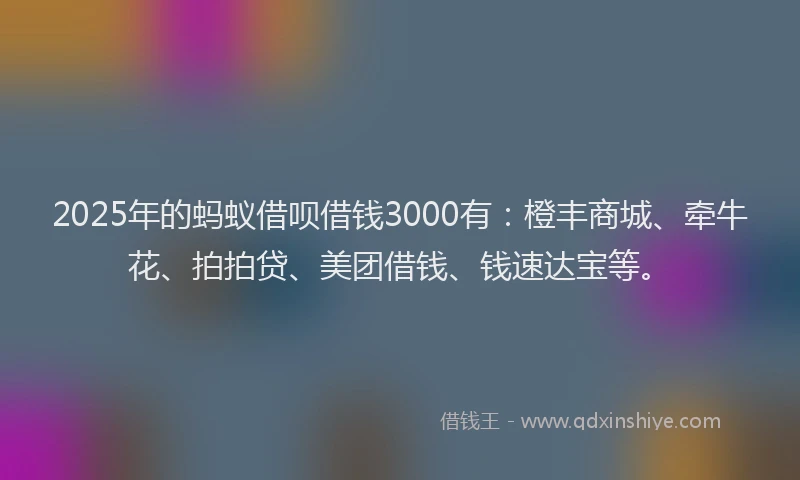 2025年的蚂蚁借呗借钱3000有：橙丰商城、牵牛花、拍拍贷、美团借钱、钱速达宝等。
