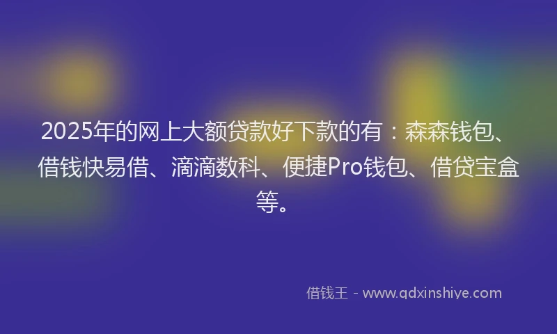 2025年的网上大额贷款好下款的有：森森钱包、借钱快易借、滴滴数科、便捷Pro钱包、借贷宝盒等。