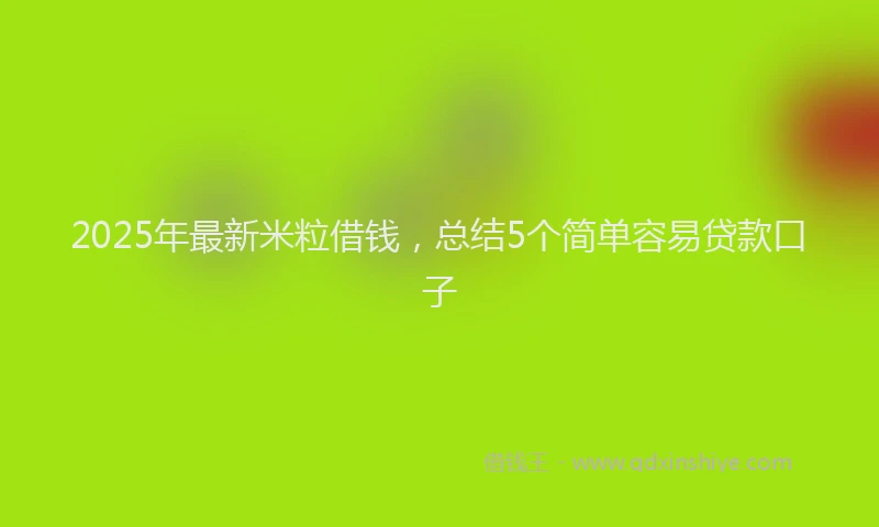 2025年最新米粒借钱，总结5个简单容易贷款口子
