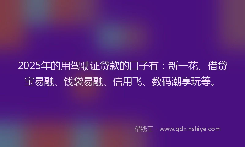 2025年的用驾驶证贷款的口子有：新一花、借贷宝易融、钱袋易融、信用飞、数码潮享玩等。