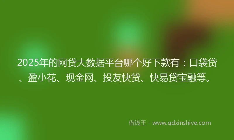 2025年的网贷大数据平台哪个好下款有：口袋贷、盈小花、现金网、投友快贷、快易贷宝融等。