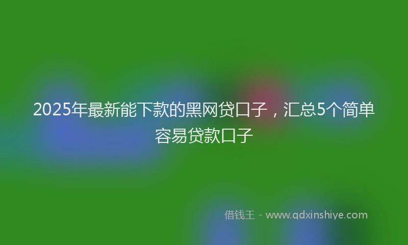 2025年最新能下款的黑网贷口子，汇总5个简单容易贷款口子