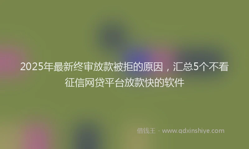 2025年最新终审放款被拒的原因，汇总5个不看征信网贷平台放款快的软件