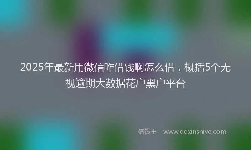 2025年最新用微信咋借钱啊怎么借，概括5个无视逾期大数据花户黑户平台