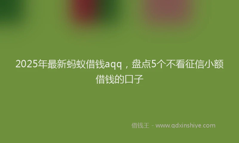 2025年最新蚂蚁借钱aqq，盘点5个不看征信小额借钱的口子
