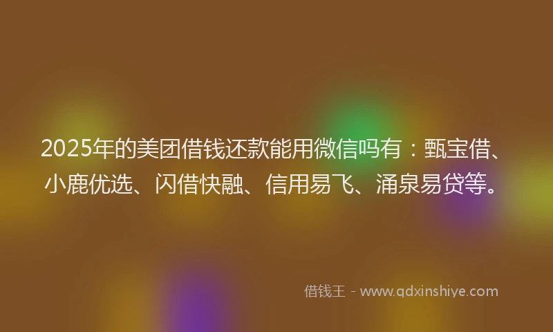 2025年的美团借钱还款能用微信吗有：甄宝借、小鹿优选、闪借快融、信用易飞、涌泉易贷等。