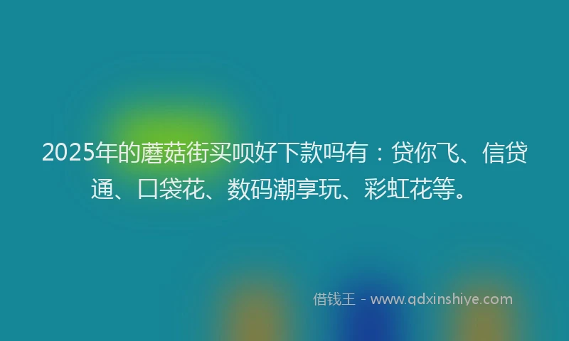 2025年的蘑菇街买呗好下款吗有：贷你飞、信贷通、口袋花、数码潮享玩、彩虹花等。