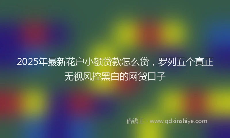 2025年最新花户小额贷款怎么贷，罗列五个真正无视风控黑白的网贷口子