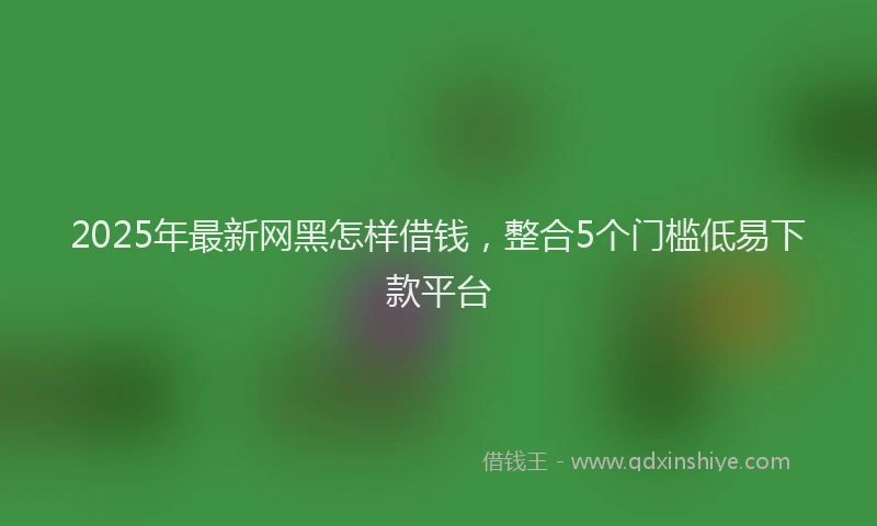 2025年最新网黑怎样借钱，整合5个门槛低易下款平台