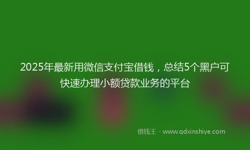 2025年最新用微信支付宝借钱，总结5个黑户可快速办理小额贷款业务的平台