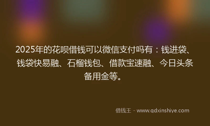 2025年的花呗借钱可以微信支付吗有：钱进袋、钱袋快易融、石榴钱包、借款宝速融、今日头条备用金等。