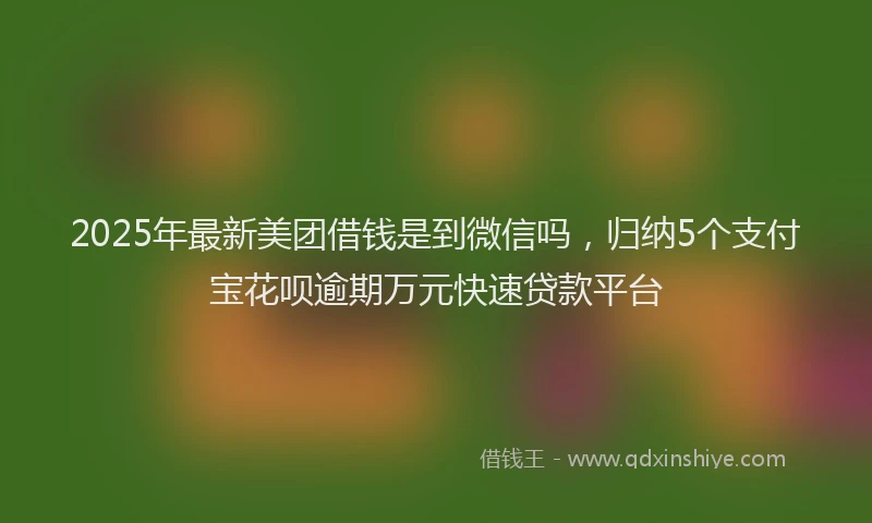 2025年最新美团借钱是到微信吗，归纳5个支付宝花呗逾期万元快速贷款平台