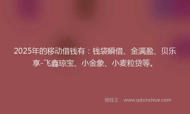 2025年的移动借钱有:钱袋瞬借、金满盈、贝乐享-飞鑫琼宝、小金象、小麦粒贷等。