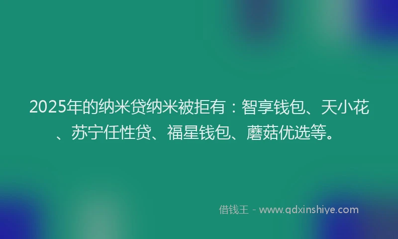 2025年的纳米贷纳米被拒有：智享钱包、天小花、苏宁任性贷、福星钱包、蘑菇优选等。