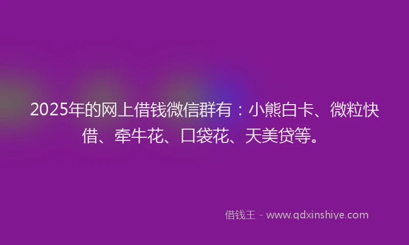2025年的网上借钱微信群有：小熊白卡、微粒快借、牵牛花、口袋花、天美贷等。