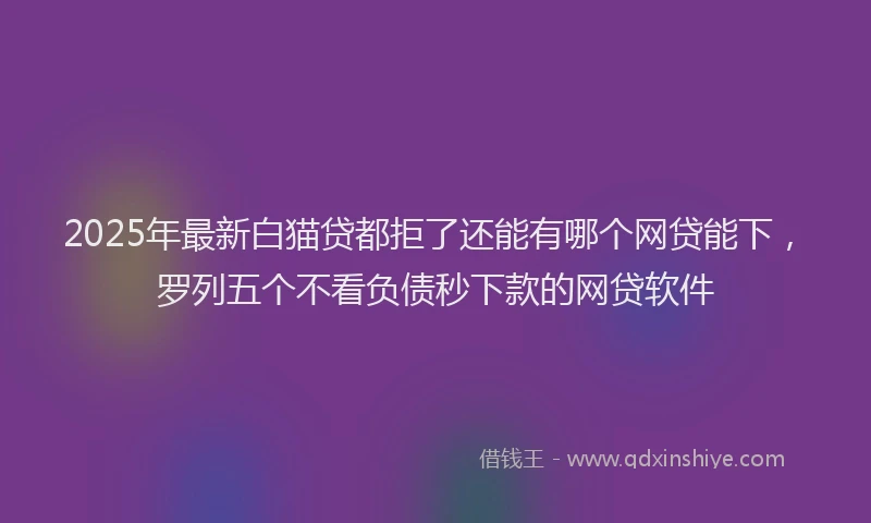 2025年最新白猫贷都拒了还能有哪个网贷能下，罗列五个不看负债秒下款的网贷软件