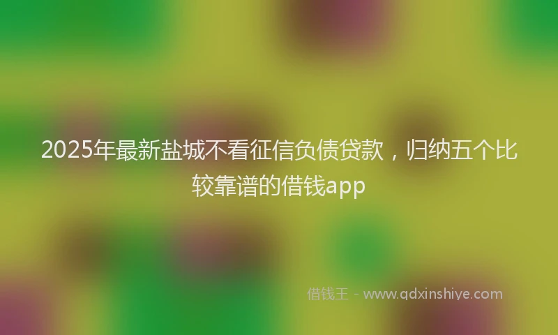 2025年最新盐城不看征信负债贷款，归纳五个比较靠谱的借钱app