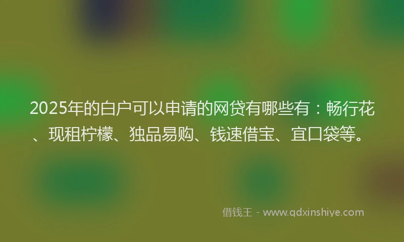 2025年的白户可以申请的网贷有哪些有：畅行花、现租柠檬、独品易购、钱速借宝、宜口袋等。