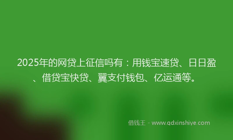 2025年的网贷上征信吗有：用钱宝速贷、日日盈、借贷宝快贷、翼支付钱包、亿运通等。