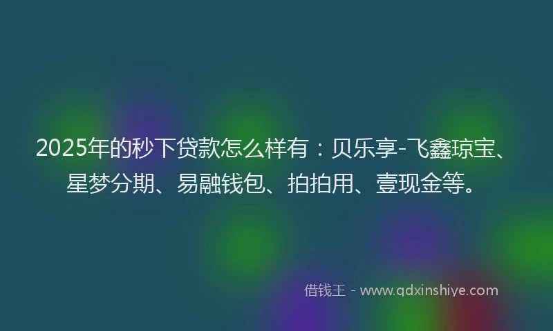 2025年的秒下贷款怎么样有：贝乐享-飞鑫琼宝、星梦分期、易融钱包、拍拍用、壹现金等。
