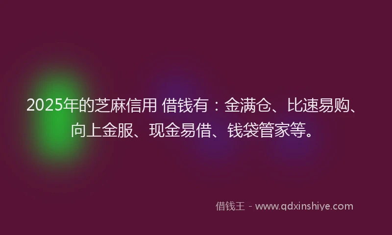 2025年的芝麻信用 借钱有：金满仓、比速易购、向上金服、现金易借、钱袋管家等。