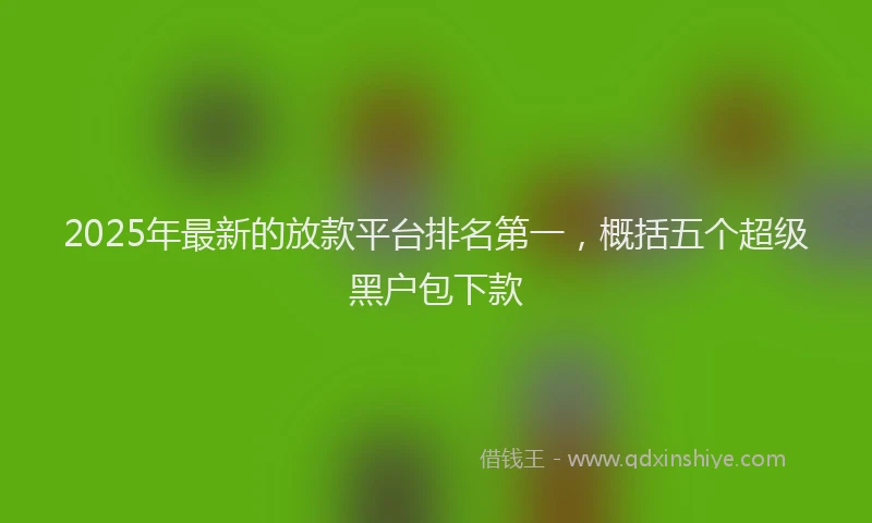 2025年最新的放款平台排名第一，概括五个超级黑户包下款