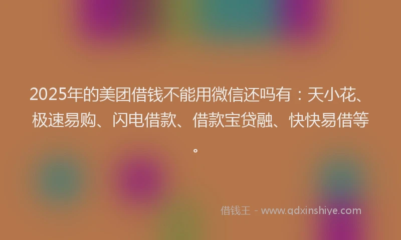 2025年的美团借钱不能用微信还吗有：天小花、极速易购、闪电借款、借款宝贷融、快快易借等。
