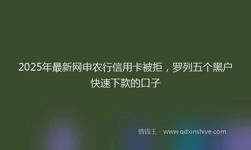 2025年最新网申农行信用卡被拒，罗列五个黑户快速下款的口子