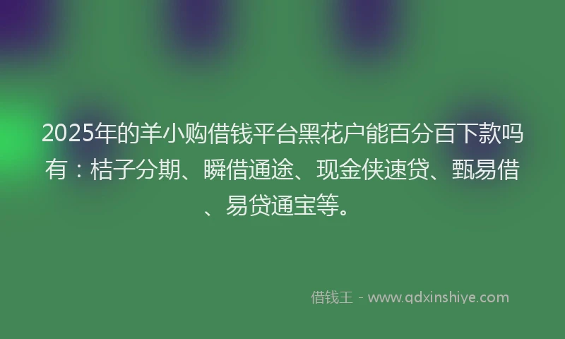 2025年的羊小购借钱平台黑花户能百分百下款吗有：桔子分期、瞬借通途、现金侠速贷、甄易借、易贷通宝等。