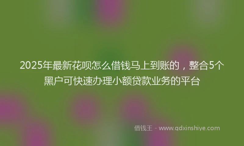 2025年最新花呗怎么借钱马上到账的，整合5个黑户可快速办理小额贷款业务的平台