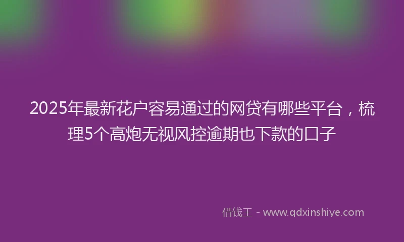 2025年最新花户容易通过的网贷有哪些平台，梳理5个高炮无视风控逾期也下款的口子