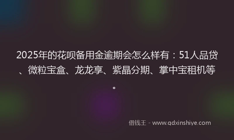 2025年的花呗备用金逾期会怎么样有：51人品贷、微粒宝盒、龙龙享、紫晶分期、掌中宝租机等。