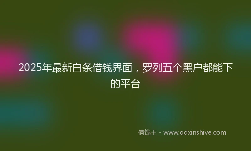 2025年最新白条借钱界面，罗列五个黑户都能下的平台