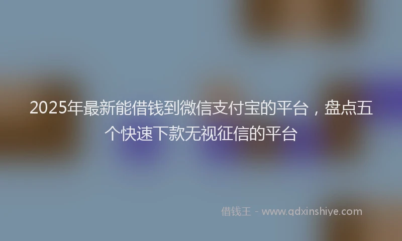 2025年最新能借钱到微信支付宝的平台，盘点五个快速下款无视征信的平台