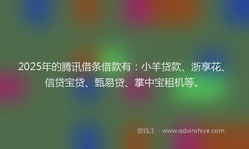 2025年的腾讯借条借款有：小羊贷款、浙享花、信贷宝贷、甄易贷、掌中宝租机等。