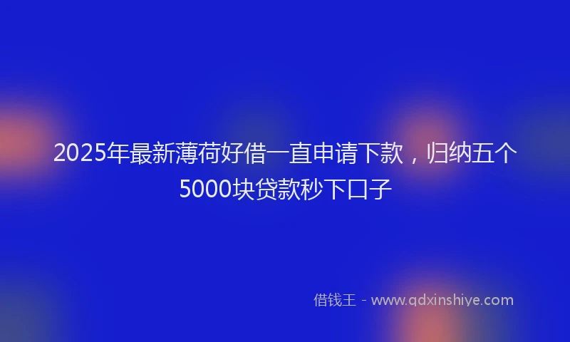 2025年最新薄荷好借一直申请下款，归纳五个5000块贷款秒下口子