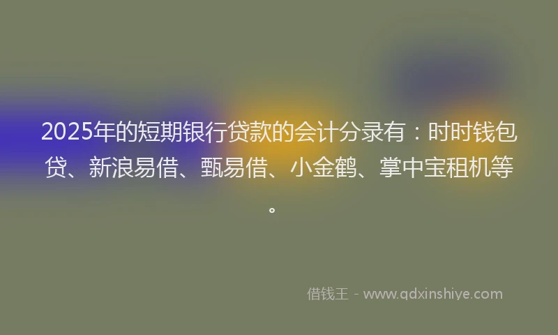 2025年的短期银行贷款的会计分录有：时时钱包贷、新浪易借、甄易借、小金鹤、掌中宝租机等。